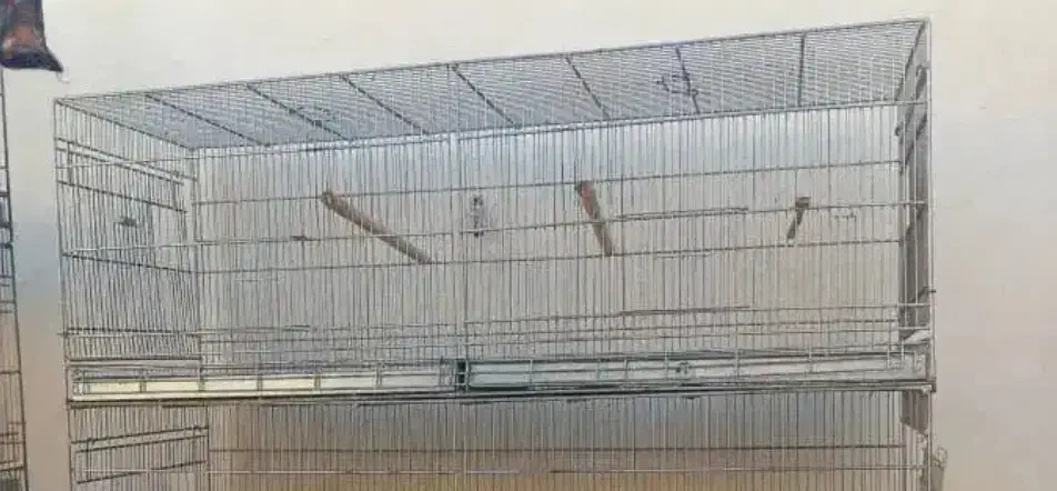قفس غلامی  با پایه|لوازم جانبی حیوانات|محمدشهر, محمدشهر|دیوار