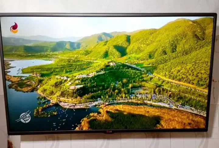 تلویزیون|تلویزیون و پروژکتور|میاندوآب, |دیوار