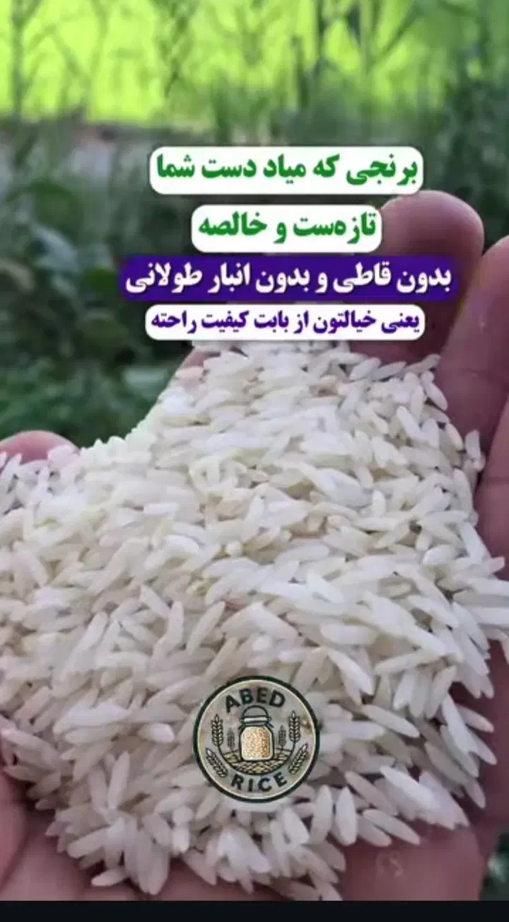 برنج ایرانی/هاشمی/طارم|عمدهفروشی|گیلان غرب, |دیوار