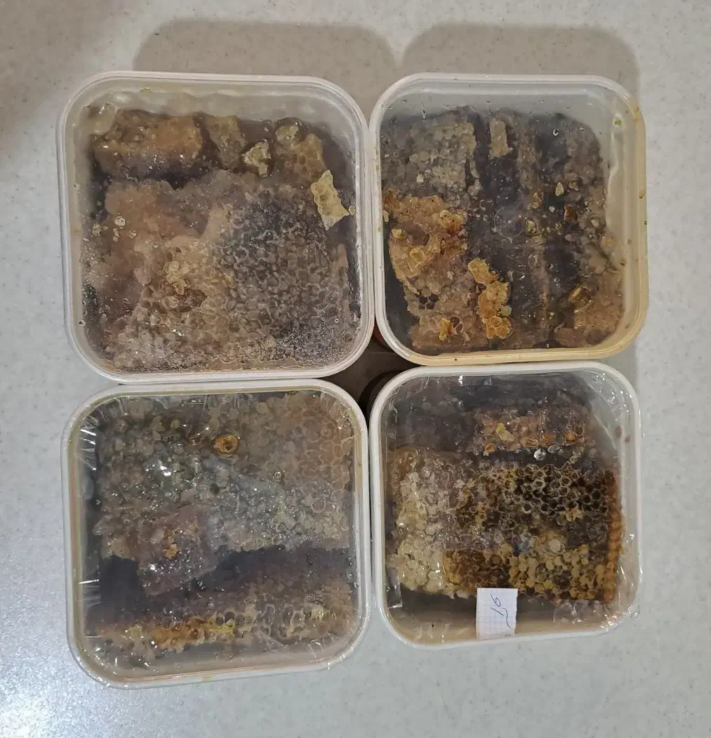 عسل اویشن درجه یک|خوردنی و آشامیدنی|اهواز, کیانشهر|دیوار