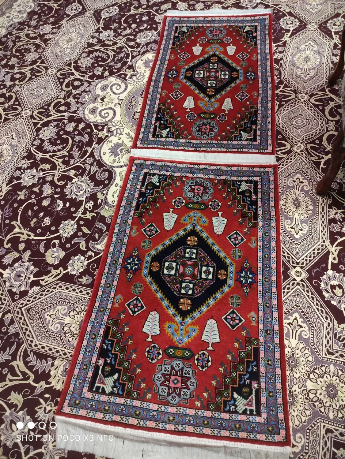 پادری دستباف|فرش|اردبیل, |دیوار