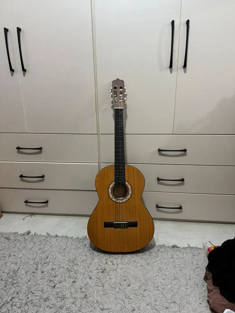 گیتار|گیتار، بیس، امپلیفایر|بوشهر, |دیوار