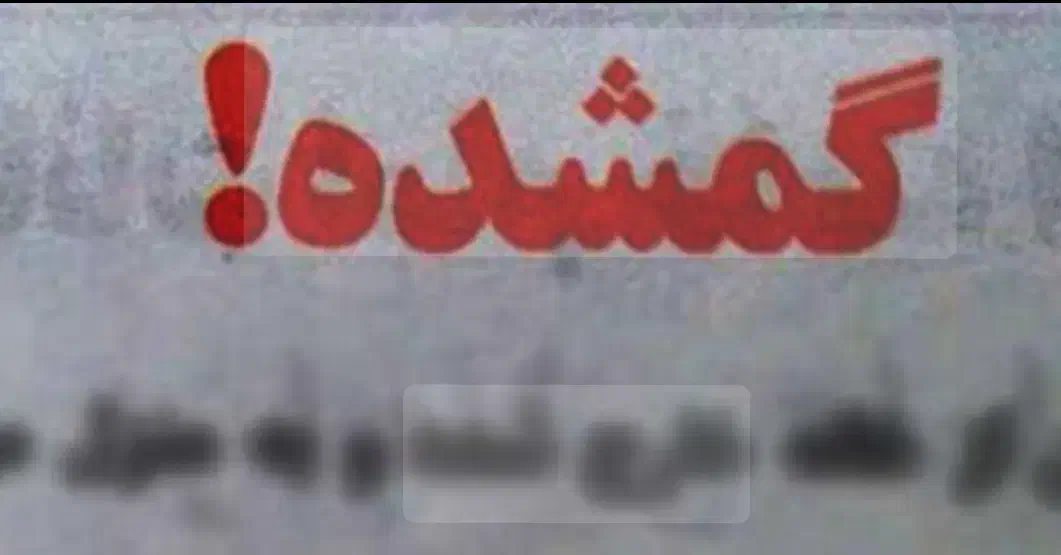 گوشی سامسونگ گم شده|اشیا|محلات, |دیوار