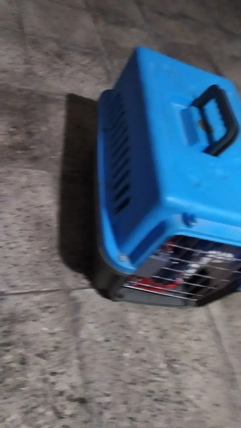 باکس سگ|لوازم جانبی حیوانات|تهران, مخصوص|دیوار