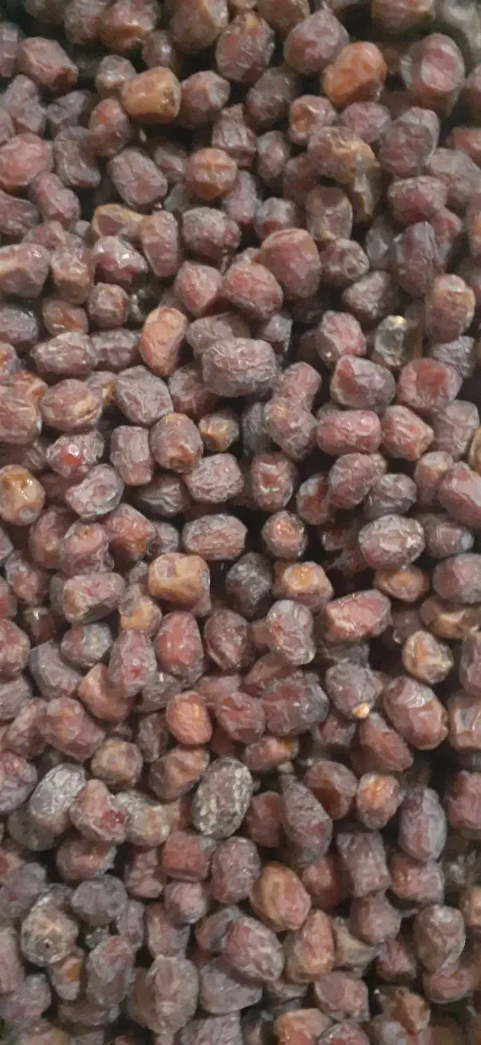 فروش خرمای آلوچه ای یا مرداسنگ در یزد|حراج|یزد, |دیوار