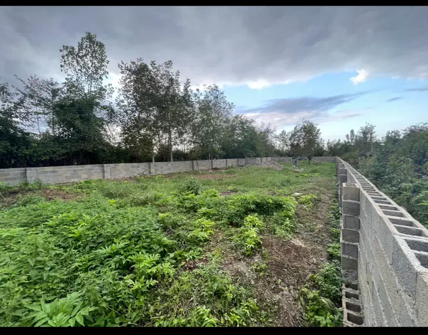 ۷۵۰ متر زمین مسکونی با پروانه ساخت|فروش زمین و ملک کلنگی|رشت, انصاری|دیوار