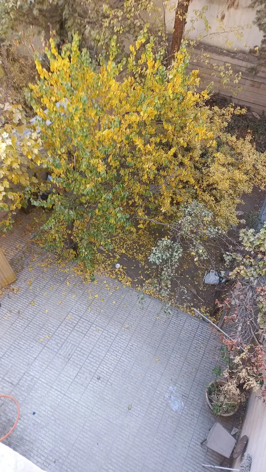 عظیمیه ویلایی ۱۳۰ متری ۳ خواب  بازسازی شده|اجارهٔ آپارتمان|کرج, عظیمیه|دیوار