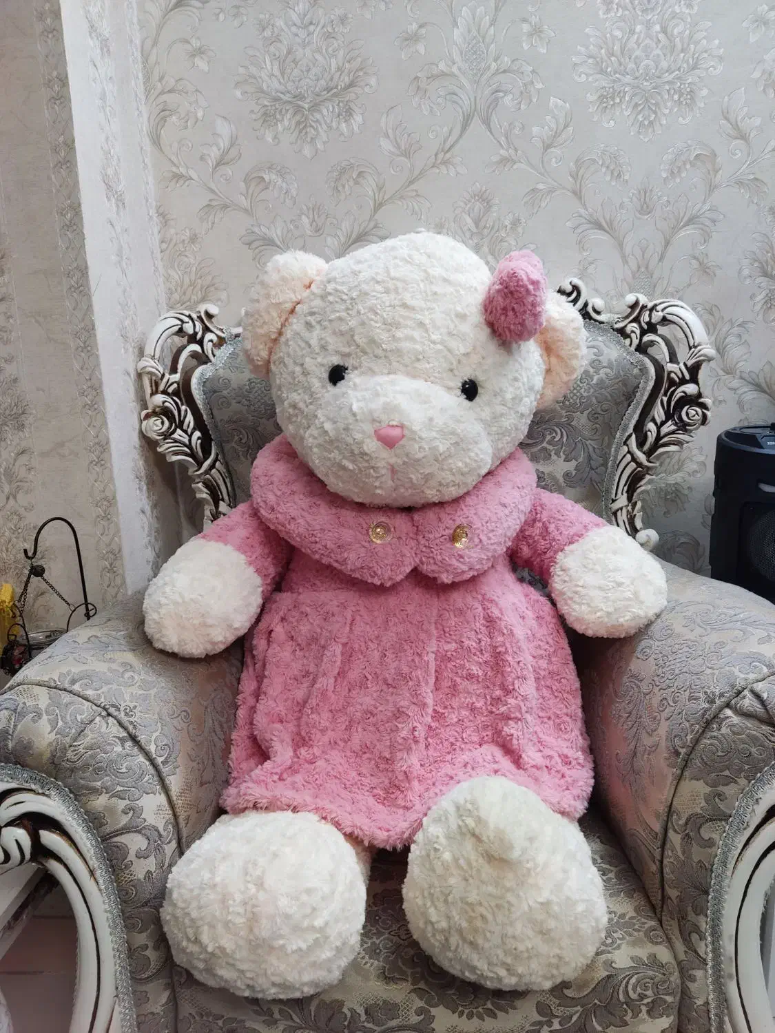 خرس شاسخین|اسباب‌بازی بچه|پاکدشت, پاکدشت (مامازند)|دیوار