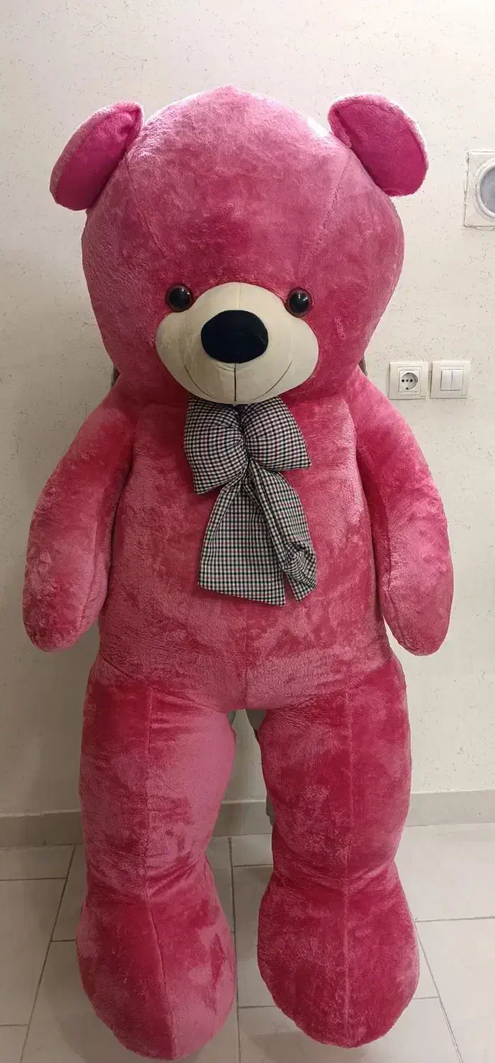 خرس بزرگ خارجی|اسباب‌‌بازی|گرمسار, |دیوار