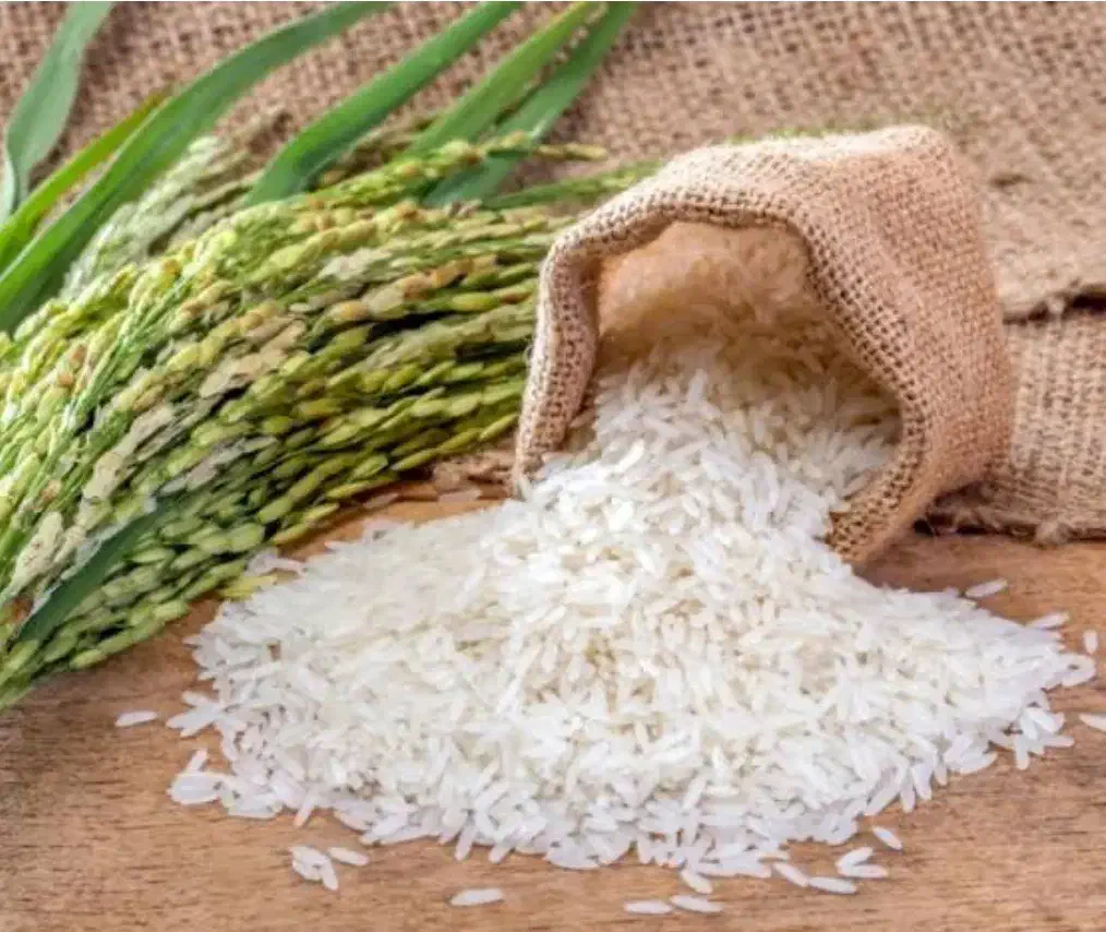 برنج شمال|خوردنی و آشامیدنی|بیرجند, |دیوار