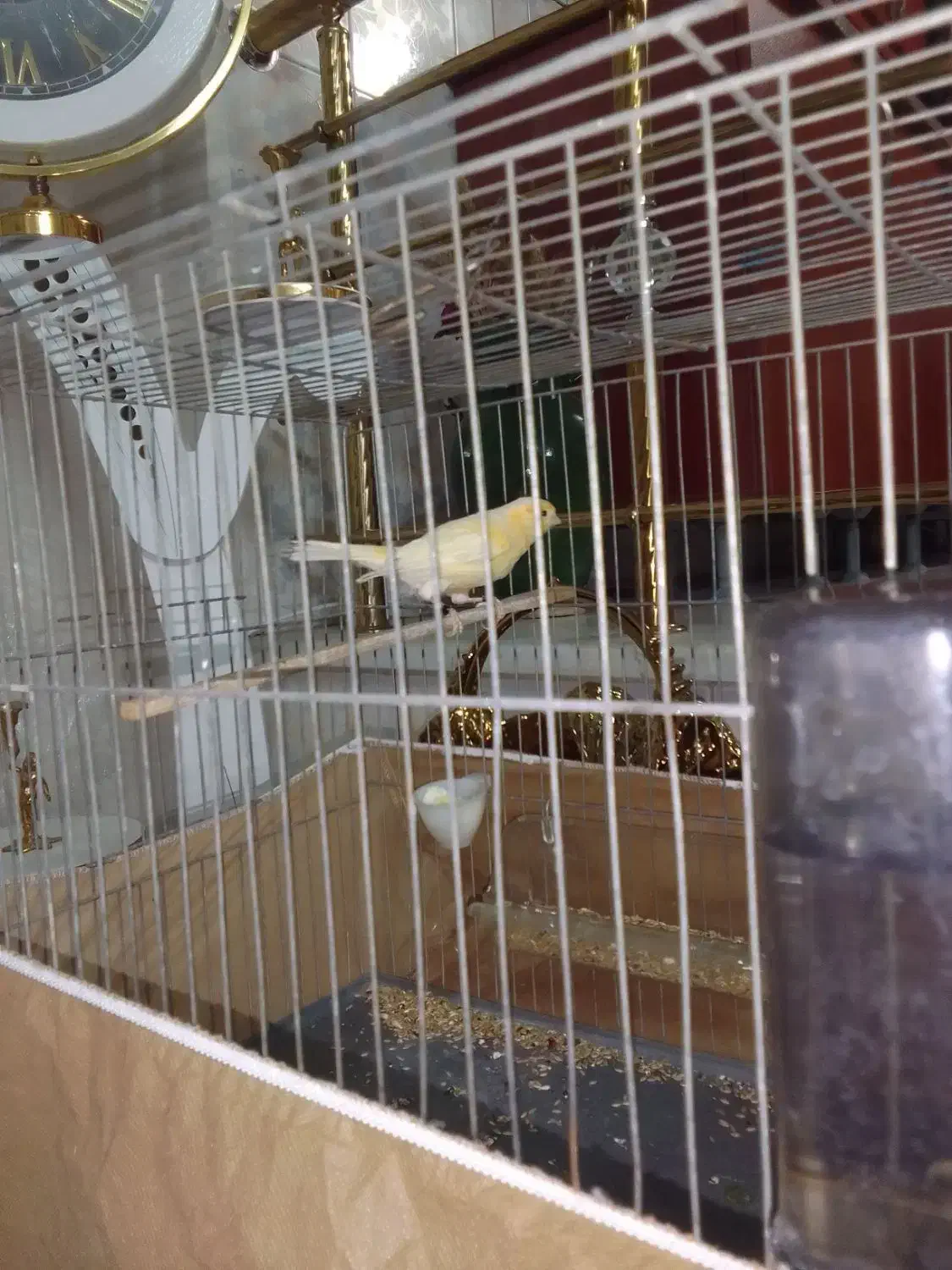 ماده موزائیکی|پرنده|قرچک, شهرک طلائیه|دیوار