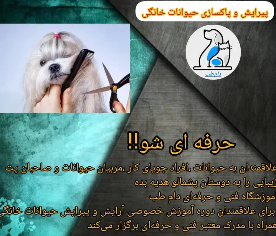 آموزش پیرایش و پاک‌سازی حیوانات خانگی|خدمات آموزشی|اصفهان, بهارستان|دیوار