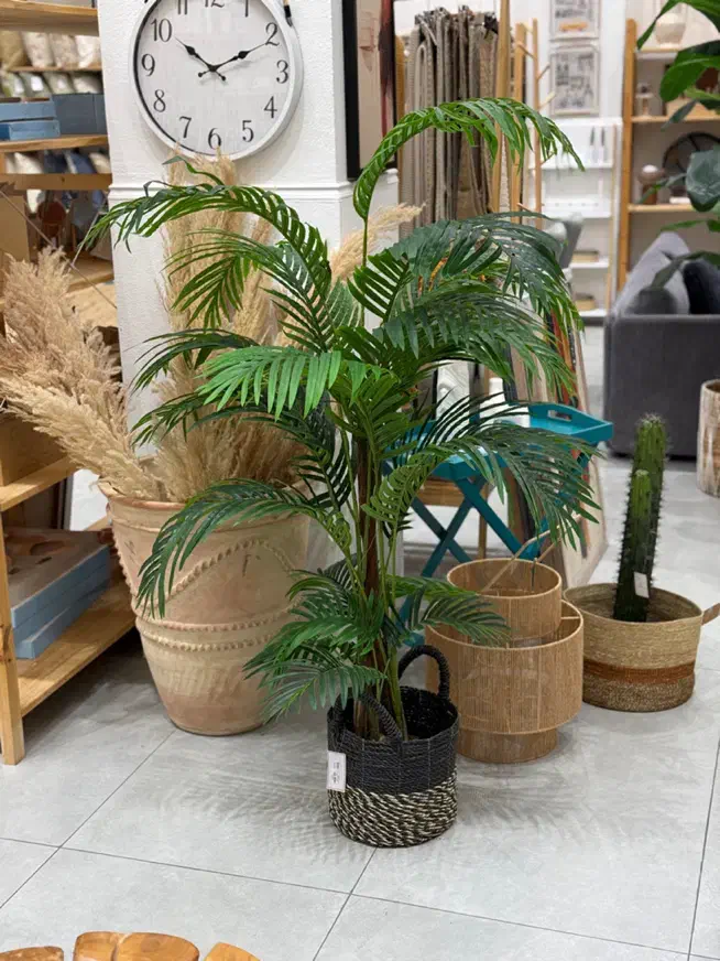 انواع گیاه و گل مصنوعی (اقساط) آکوهوم|گل مصنوعی|کیش, |دیوار