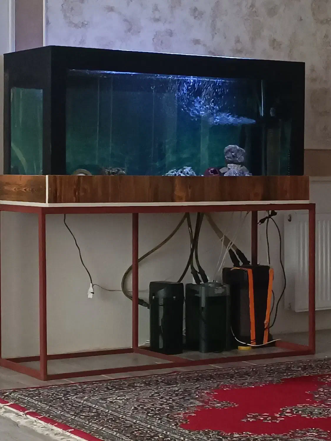 آکواریوم با لوازم کامل معاوضه|ماهی|اردبیل, |دیوار