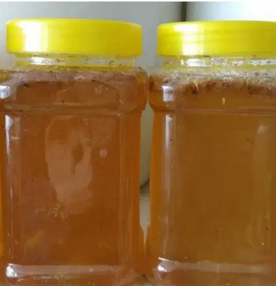 روغن و کشک گوسفندی و عسل طبیعی|خوردنی و آشامیدنی|لردگان, |دیوار