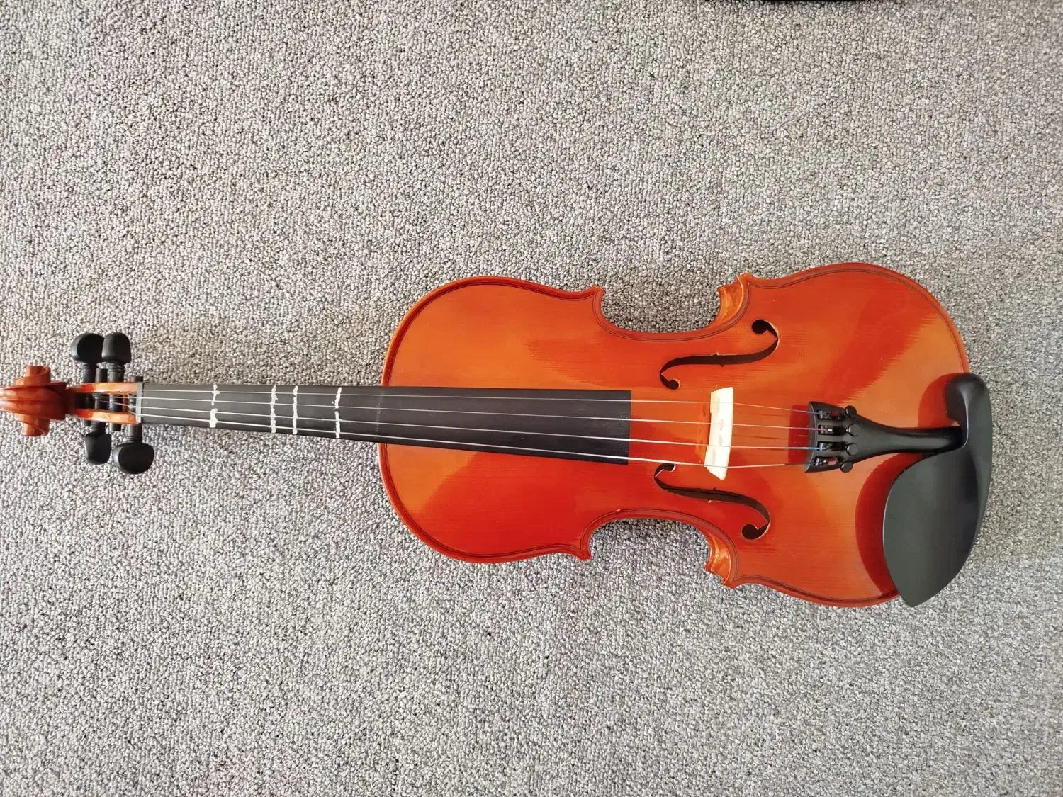 ویولن مدل dynasty|ویولن|دهلران, |دیوار