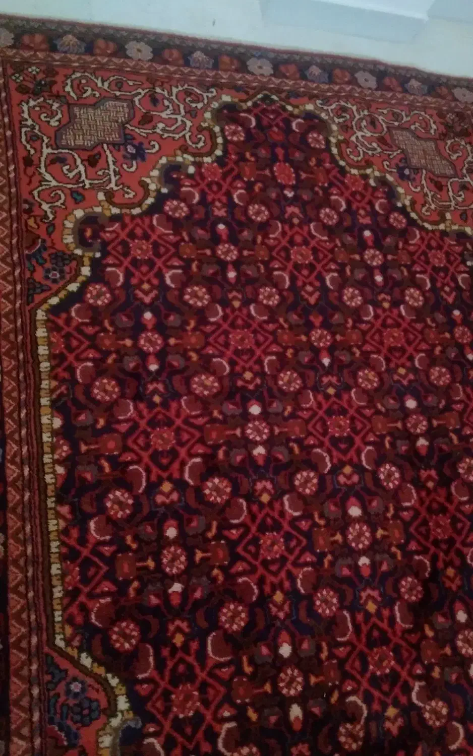 قالیچه دستبافت اراک|فرش|قم, پردیسان|دیوار