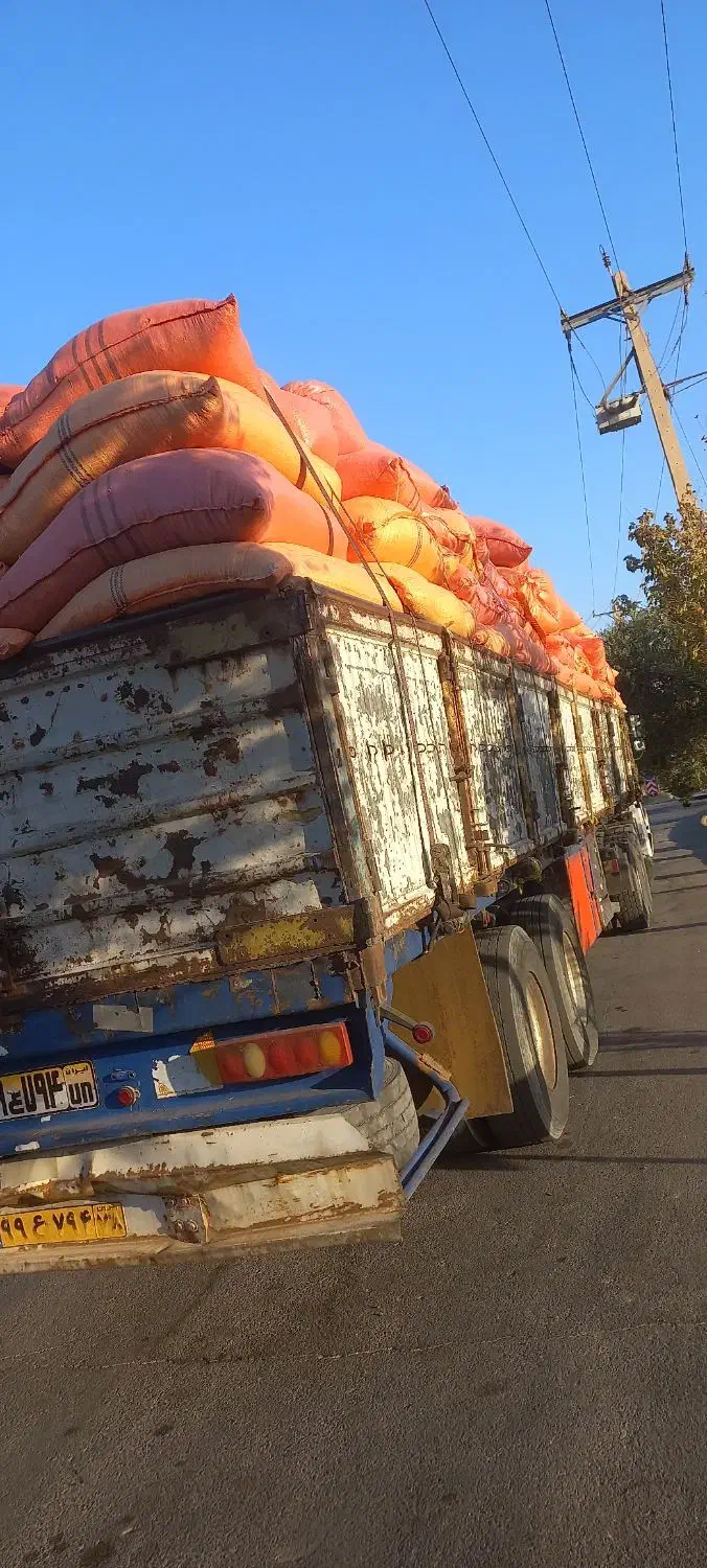 کاه|عمده‌فروشی|یزد, |دیوار