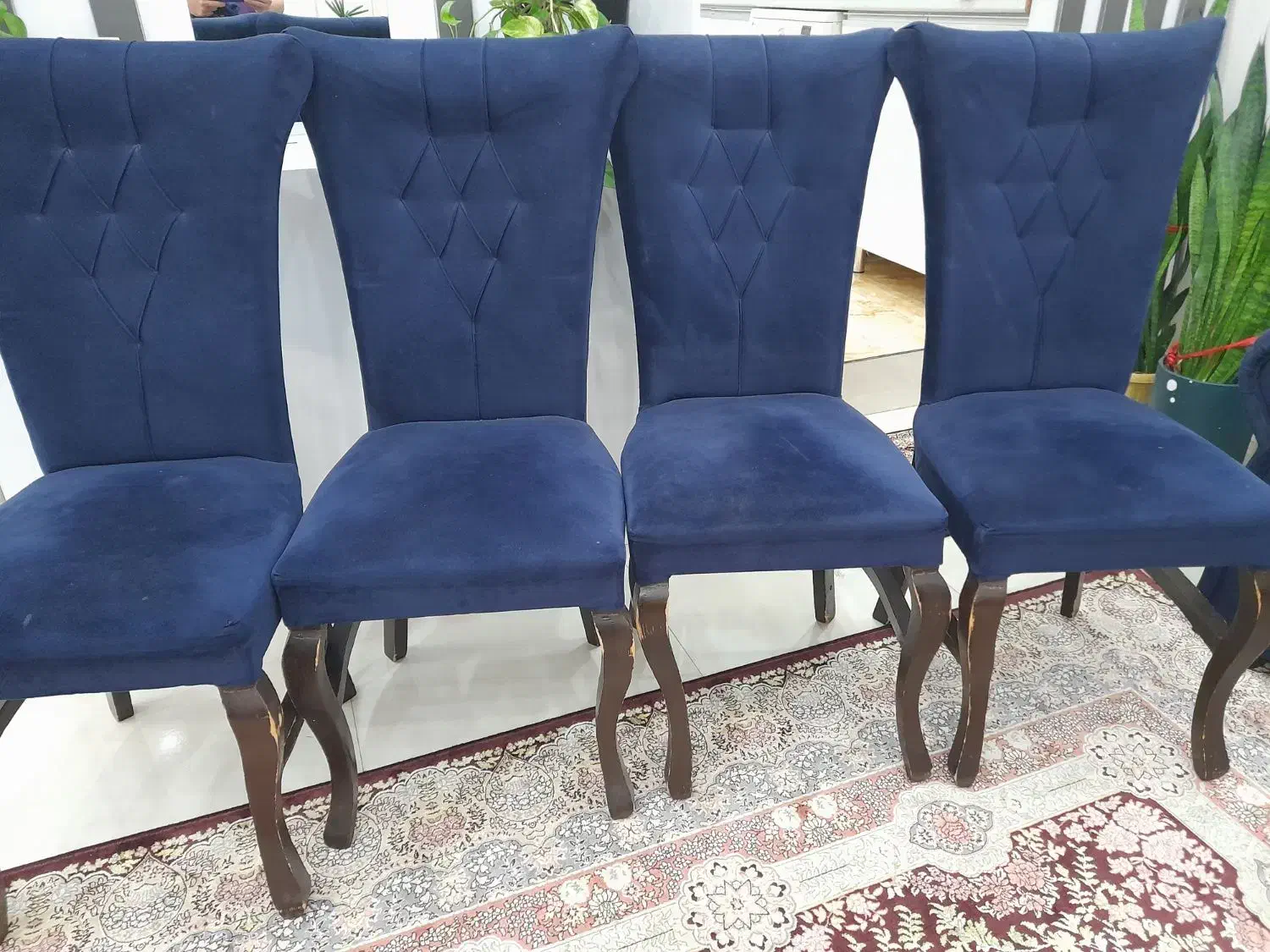 میز ناهار خوری|مبلمان خانگی و میز عسلی|رشت, حمیدیان|دیوار