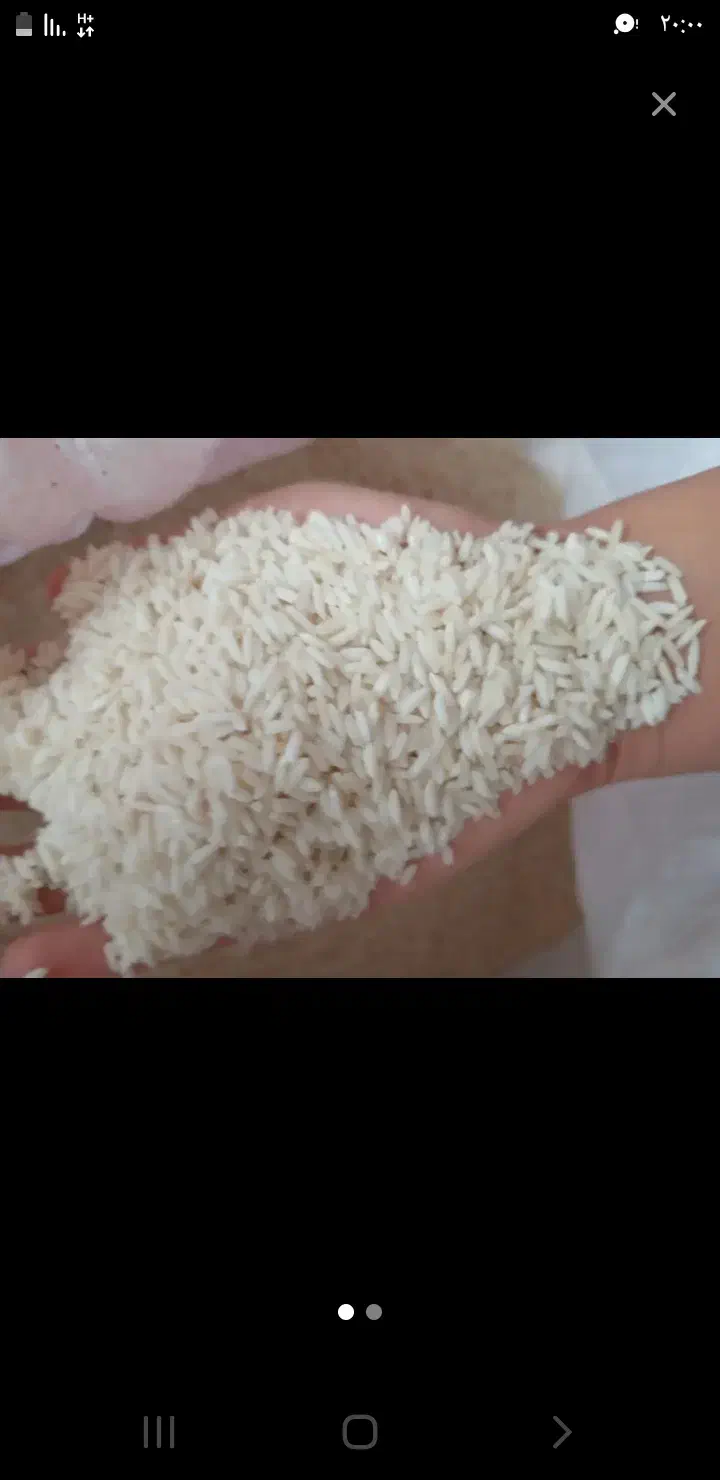 فروش برنج|خوردنی و آشامیدنی|تاکستان, |دیوار