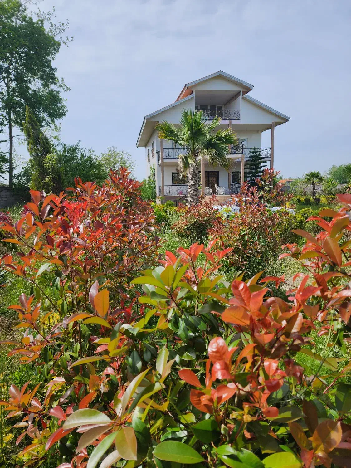 باغ ویلای سه هزار متری|فروش خانه و ویلا|آستانه اشرفیه, |دیوار