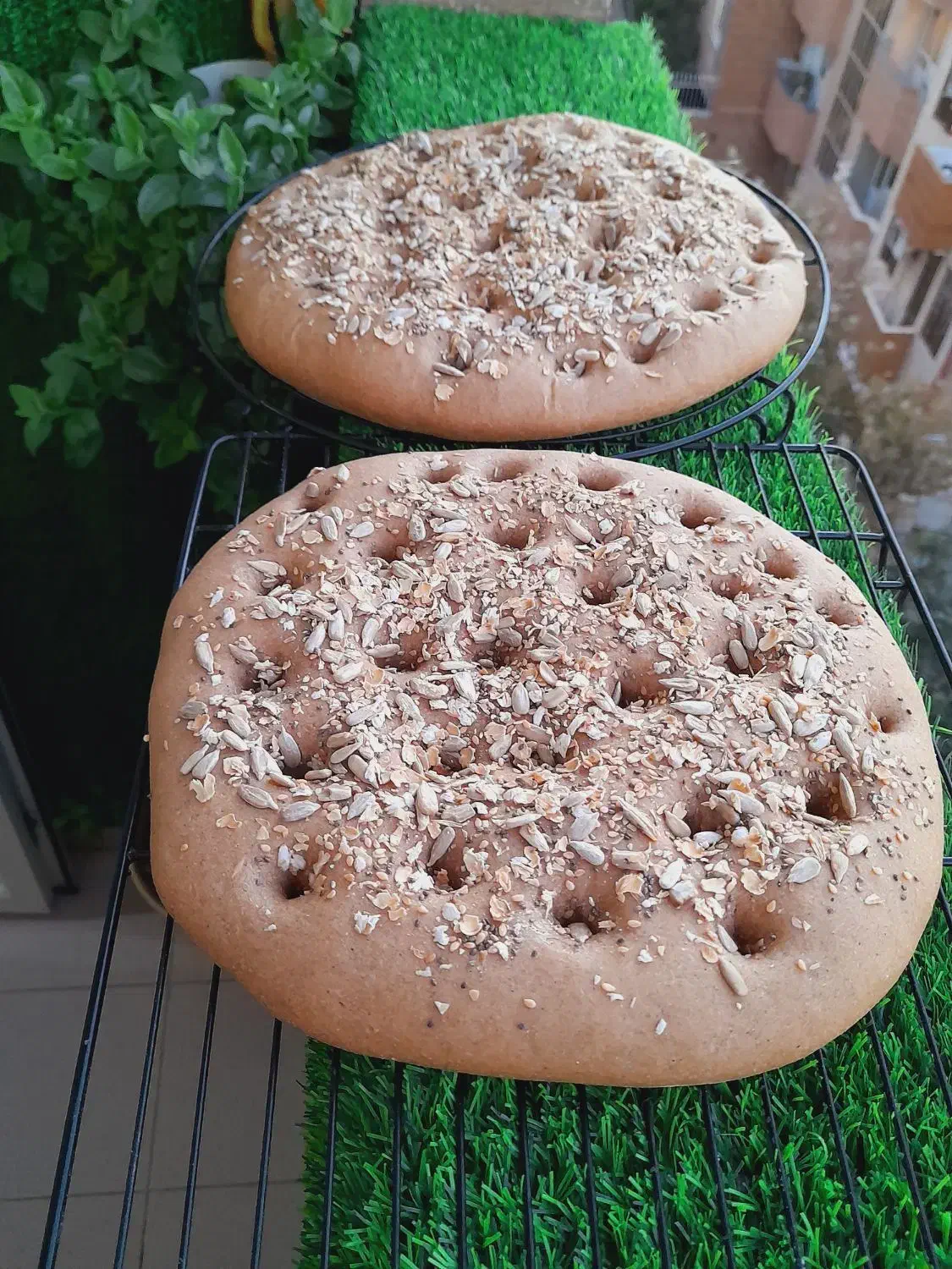 نان جو خونگی|خوردنی و آشامیدنی|مشهد, هنرور|دیوار