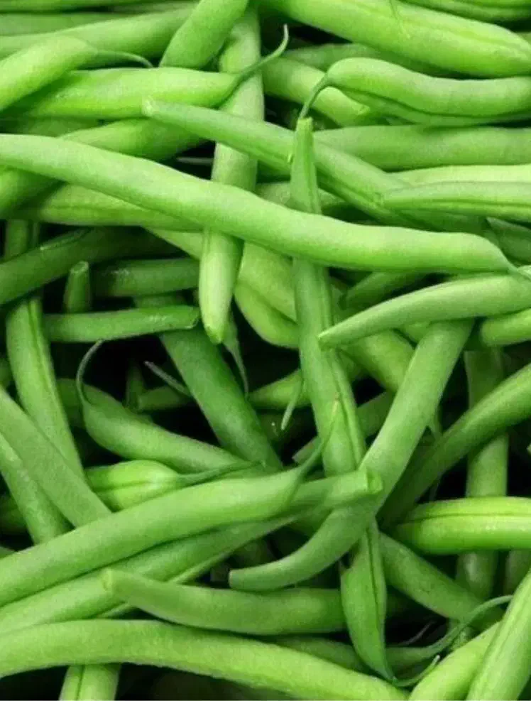 لوبیا سبز درجه یک|خوردنی و آشامیدنی|کامیاران, |دیوار