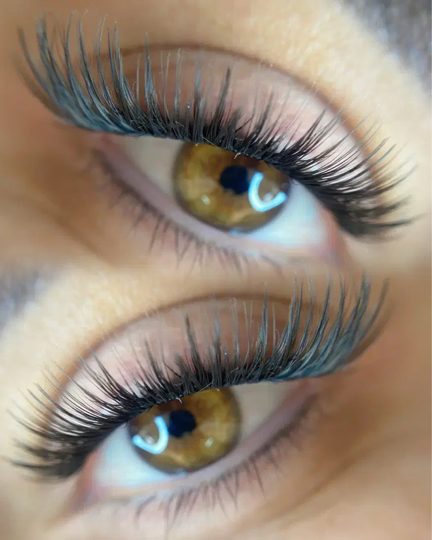 ورکشاب کاشت هیدن (تا عید به درامد عالی برسید)|خدمات آموزشی|شیراز, معالی‌آباد|دیوار