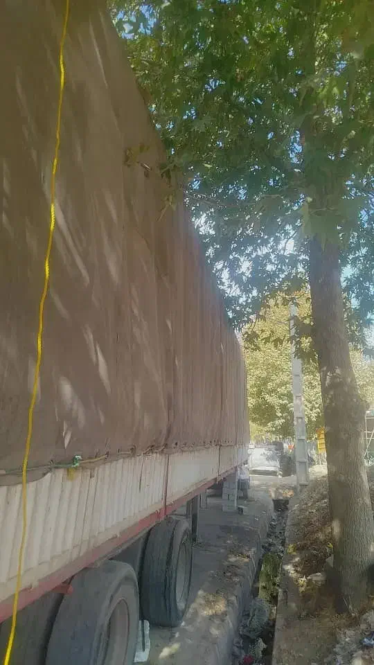 کفی تریلی چادری|خودرو سنگین|مهاباد (آذربایجان غربی), |دیوار