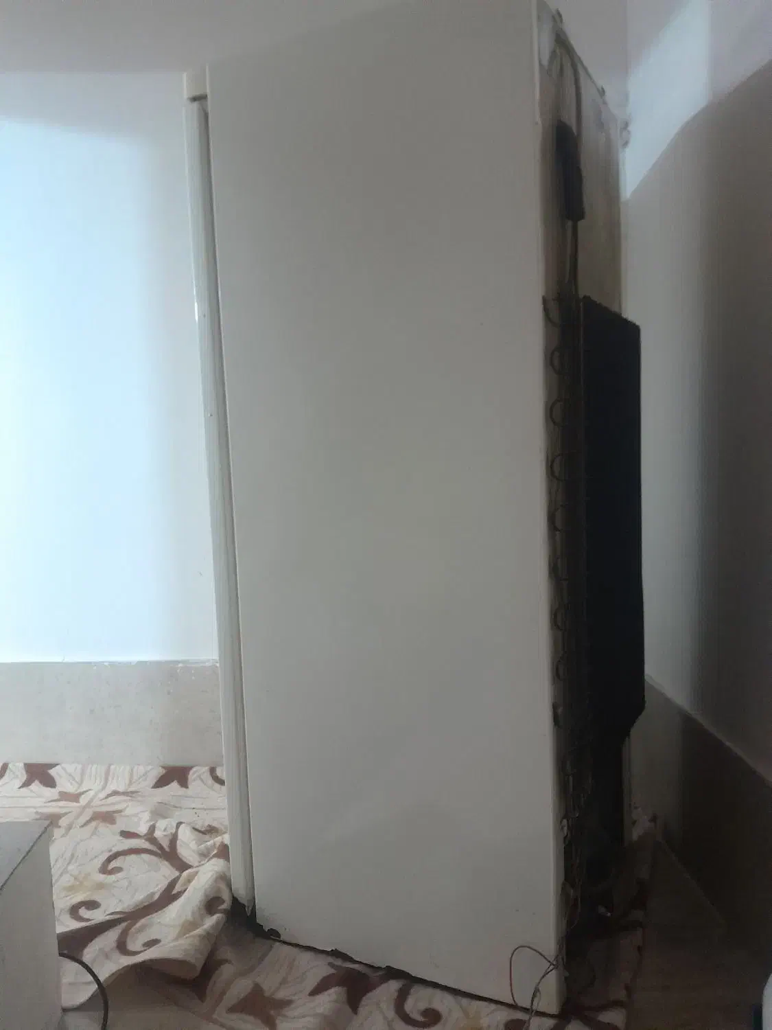 یخچال پارس|یخچال و فریزر|گرمی, |دیوار