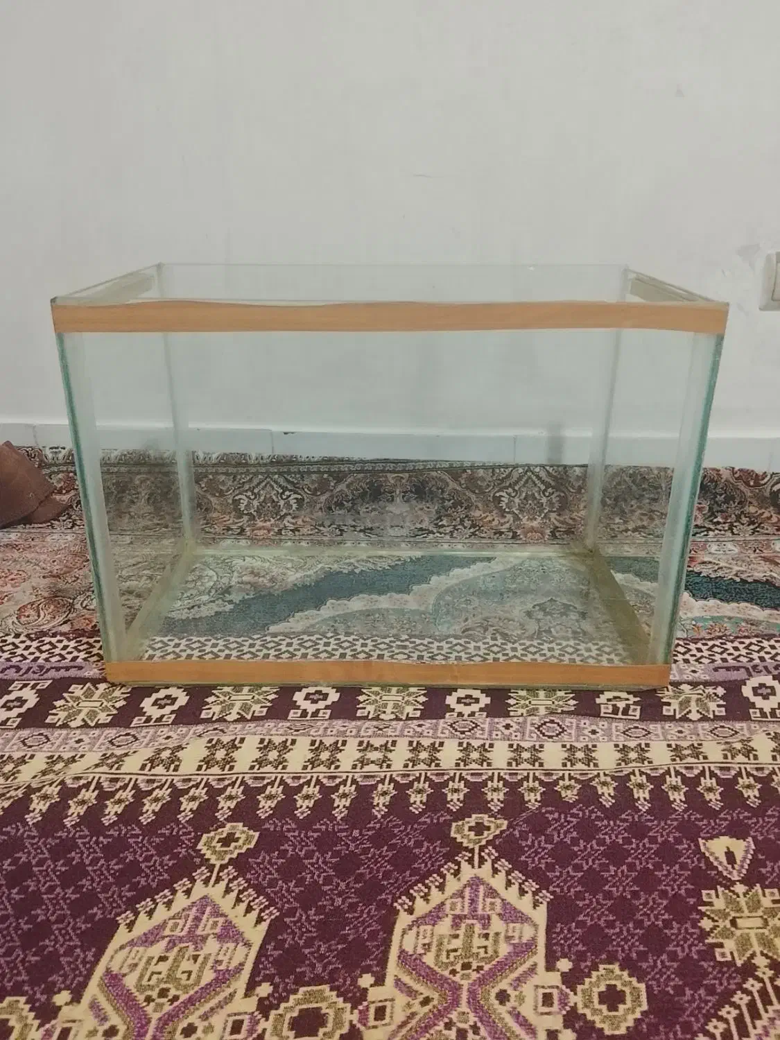 آکواریوم|ماهی|باسمنج, |دیوار