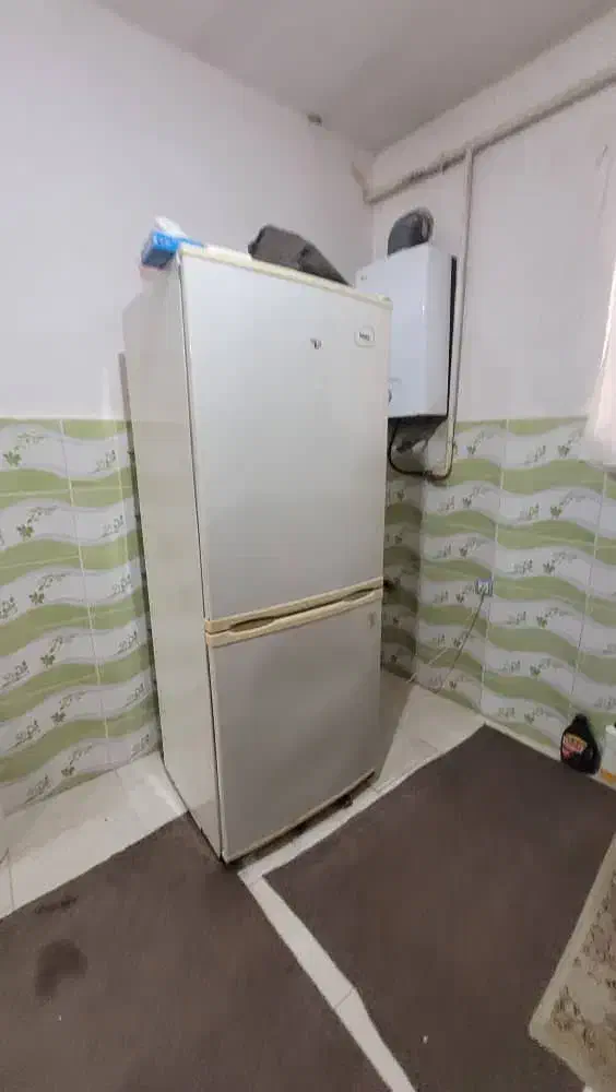 فروشی یخچال|یخچال و فریزر|رشت, دخانیات|دیوار