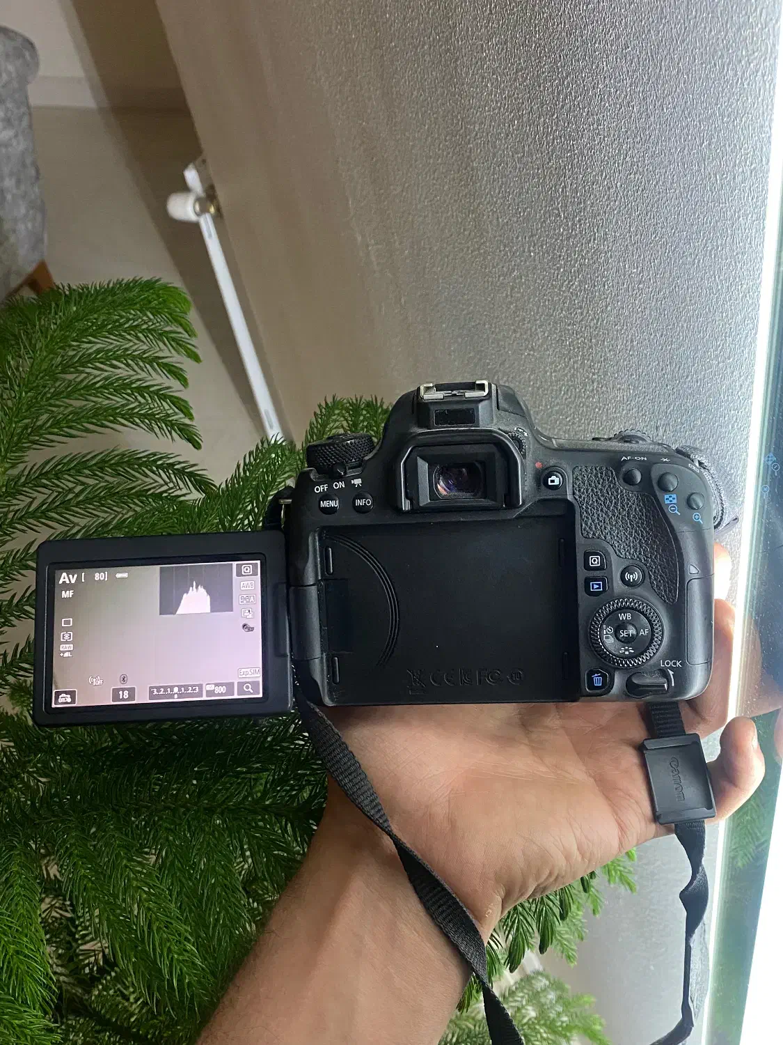 دوربین Canon EOS 77D|دوربین عکاسی و فیلم‌برداری|شیراز, شهرک برف فروشان|دیوار