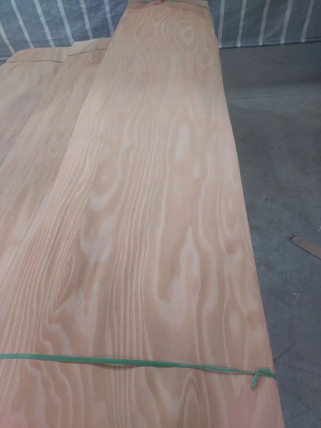 کارگر|استخدام صنعتی، فنی، مهندسی|نمین, |دیوار