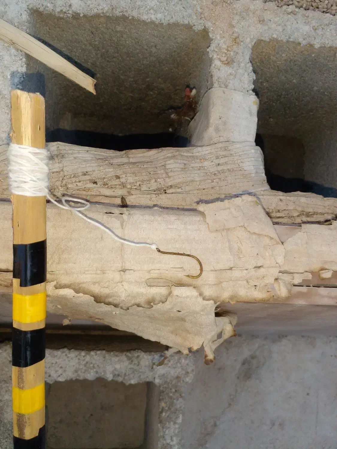 قلاب ماهیگیری|ماهیگیری|رامهرمز, |دیوار