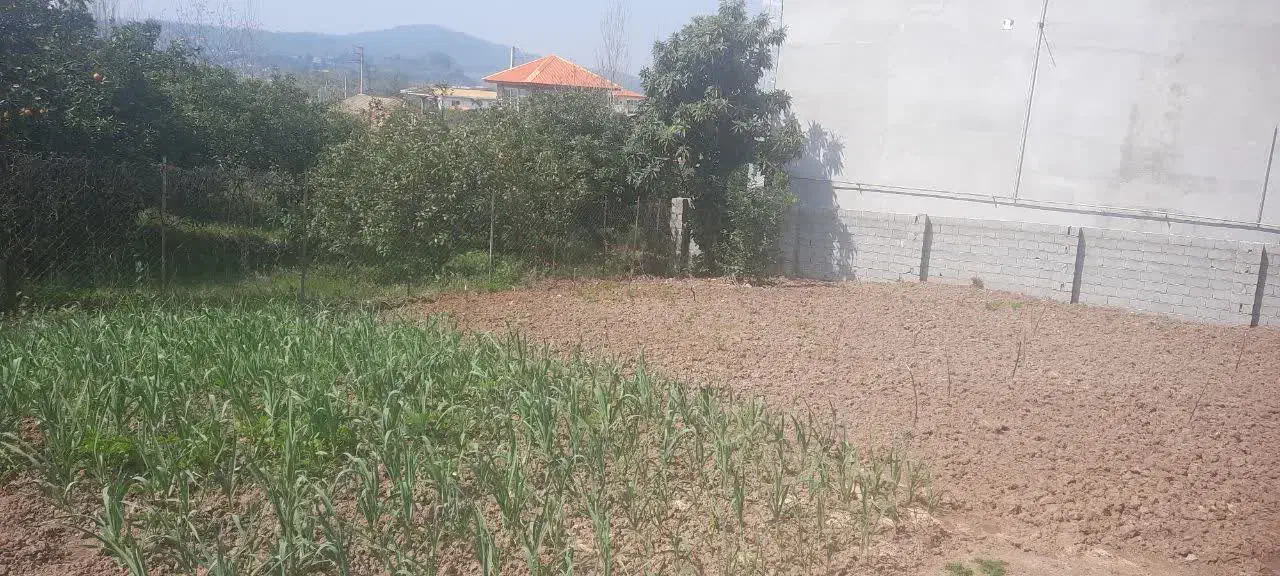 فروش ی قطعه زمین|فروش زمین و ملک کلنگی|شیرگاه, |دیوار