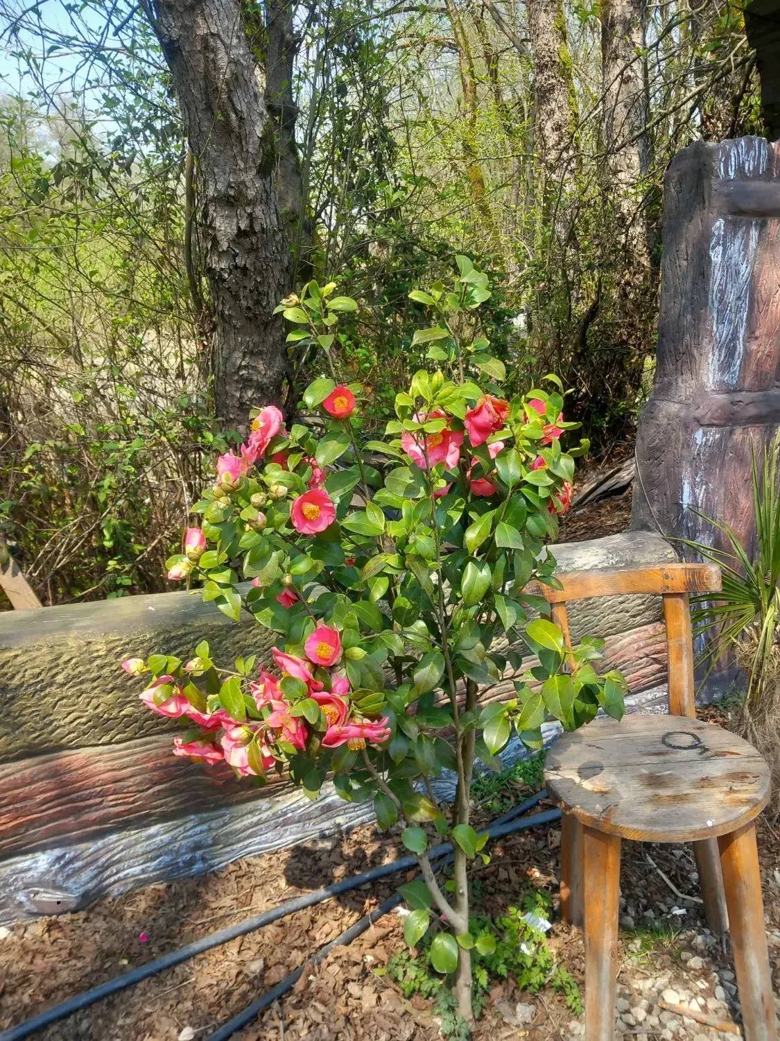 اجاره یونیت در مطب زیبایی|اجارهٔ دفتر کار، اتاق اداری، مطب|صوفیان, |دیوار