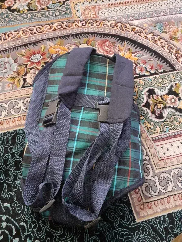 آغوشی نوزاد|کالسکه و لوازم جانبی|شیراز, شهرک قمشه|دیوار