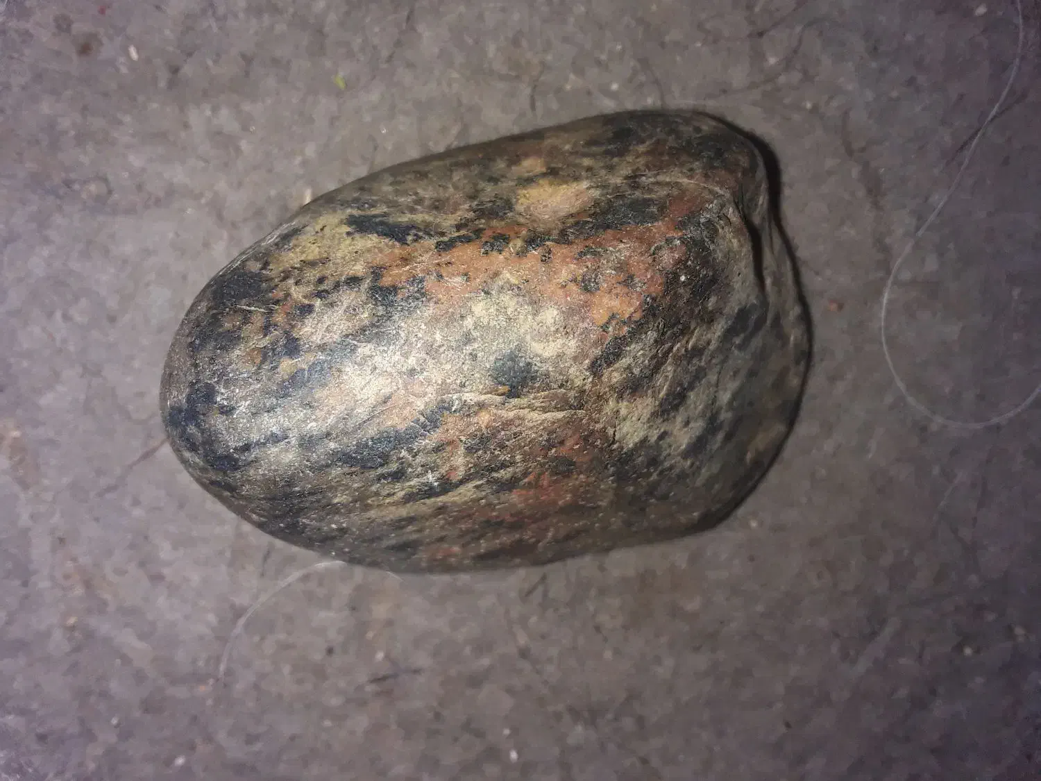 همفکری|فعالیت داوطلبانه|تبریز, |دیوار