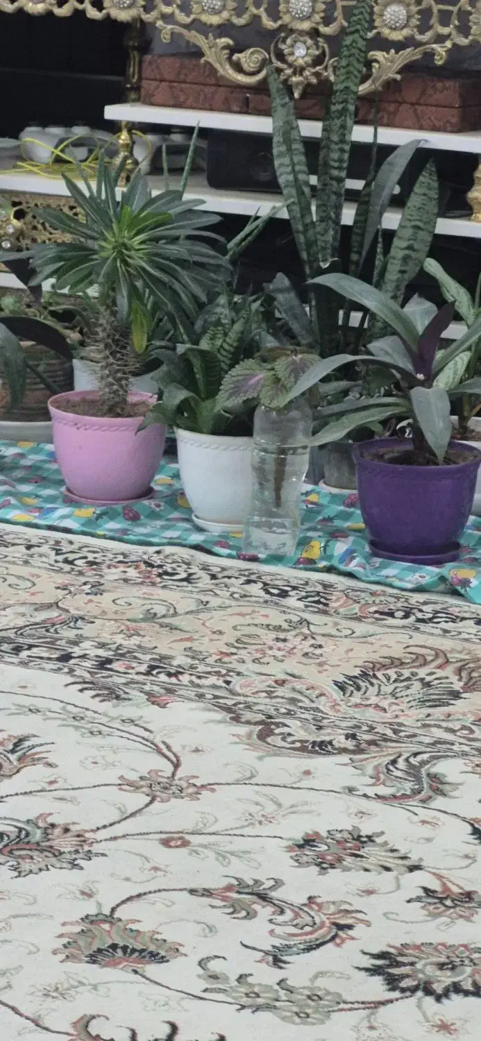 اجاره روزانه اپارتمان کاوه فلاطوری|اجارهٔ کوتاه‌مدت آپارتمان و سوئیت|اصفهان, شاه پسند|دیوار