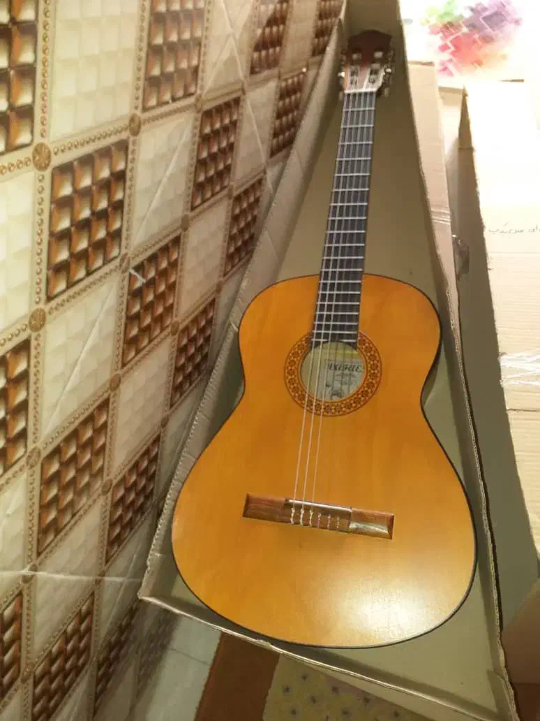 گیتار کلاسیک معاوضه با طوطی سان یا لوازم خانگی نو|گیتار، بیس، امپلیفایر|شیراز, لب آب|دیوار