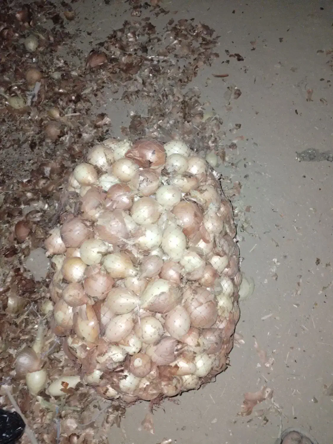 پیاز تمیز ۱۰ تمن|خوردنی و آشامیدنی|سیلاخور, |دیوار