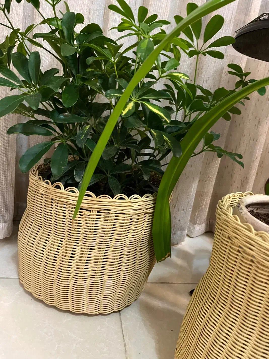 سبدهای حصیری|صنایع دستی و سایر لوازم تزئینی|شیراز, شهرک مهدیه|دیوار