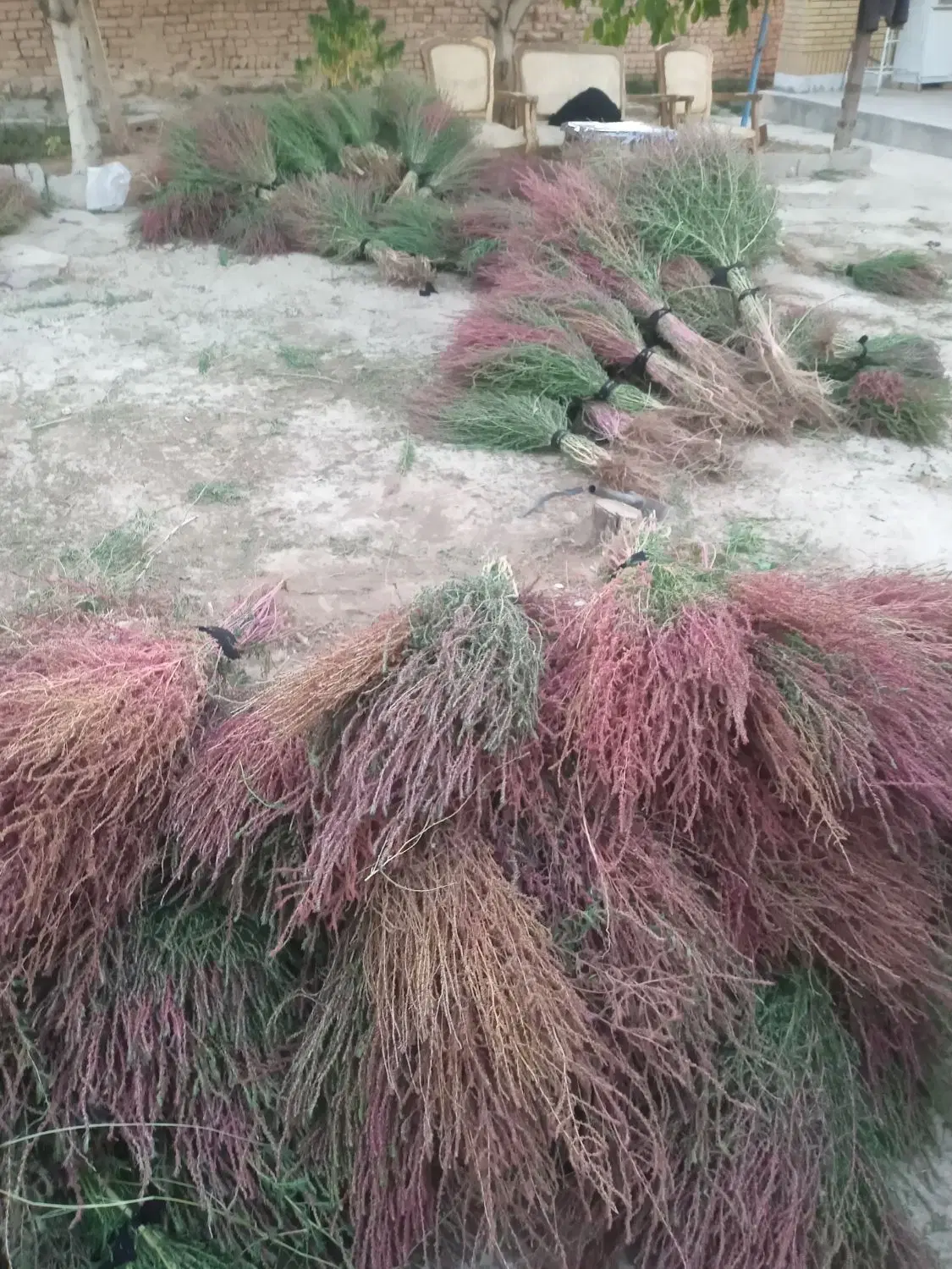 جارو|عمده‌فروشی|داران, |دیوار