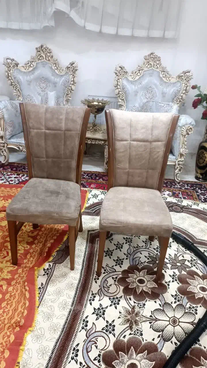 مبل شویی حرفه ای دوستان با مواد نانو و دستگاه مجهز|خدمات نظافت|تهران, شهرک شریعتی|دیوار