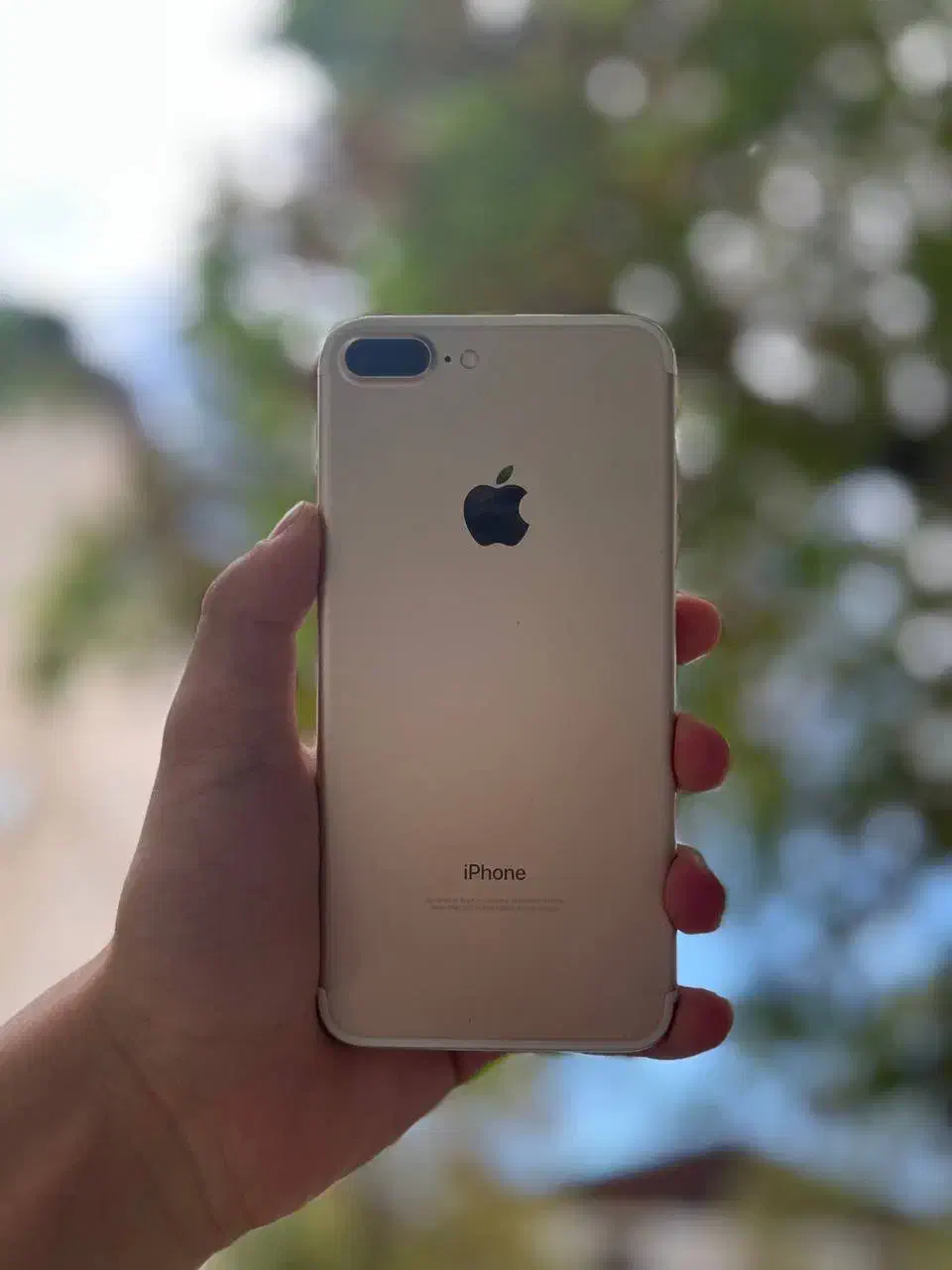 آیفون۷پلاس|موبایل|تالش, هشتپر|دیوار