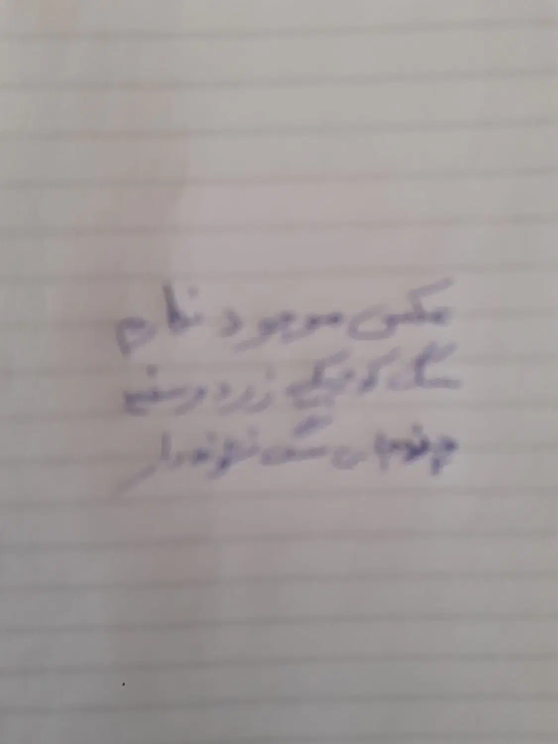 سگ کوچولو زرد و سفید گمشده مژدگانی محفوظ|سگ|آران و بیدگل, |دیوار