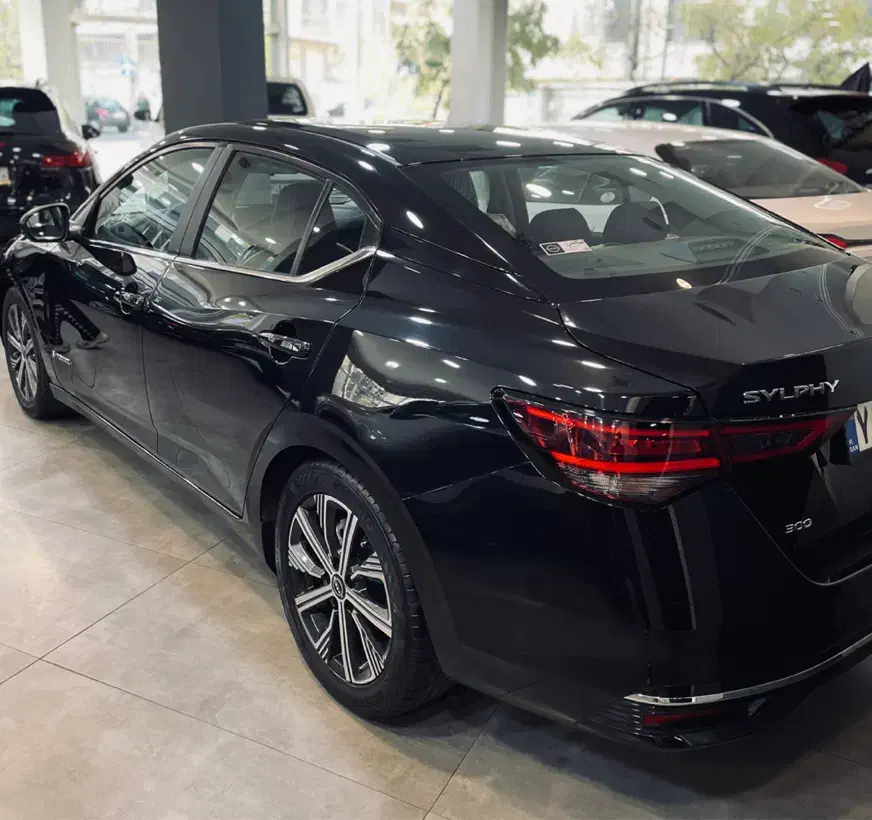 نیسان سیلفی مکس 2024|خودرو سواری و وانت|تهران, نیلوفر|دیوار