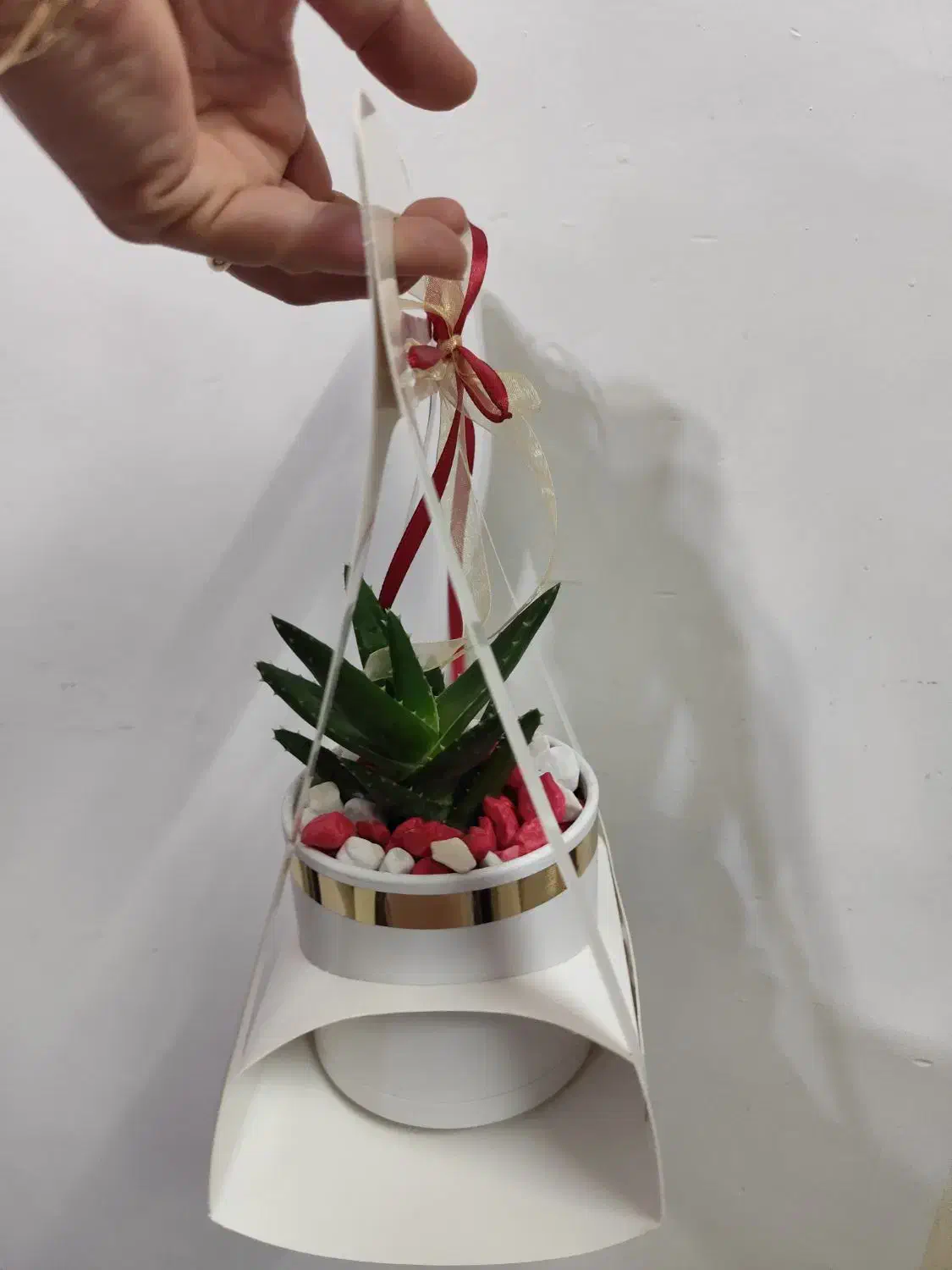 باکس گل|گل و گیاه طبیعی|تهران, یافت‌آباد|دیوار