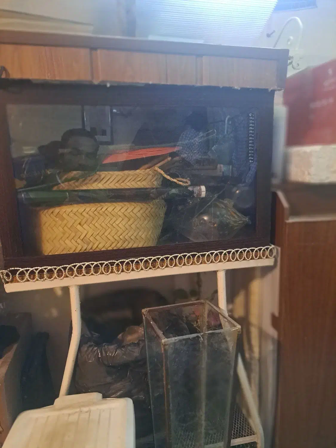 اکواریوم باپایه وکلبه|ماهی|اصفهان, مسجد مصلی|دیوار